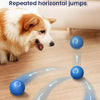 Pelota interactiva saltarina para perros y gatos - Paudan
